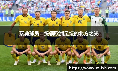 瑞典球员：统领欧洲足坛的北方之光