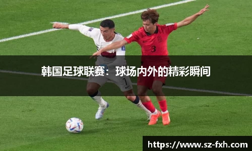韩国足球联赛：球场内外的精彩瞬间